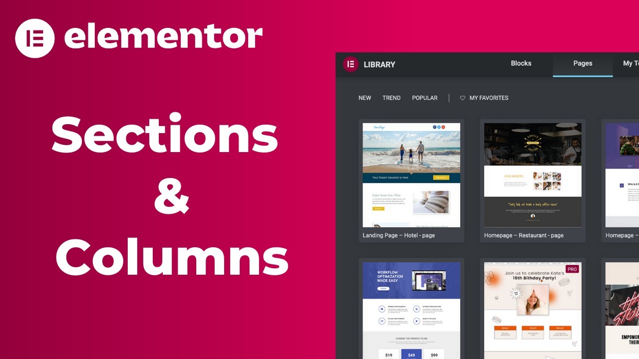 Elementor Sections & Columns Tutorial | How to Create, Edit