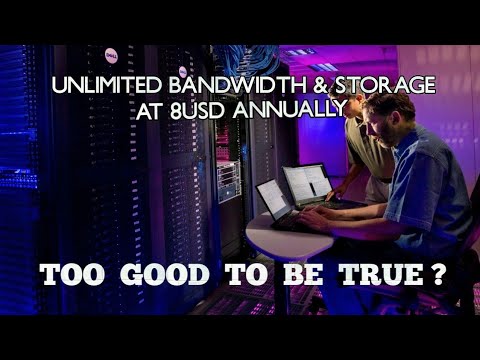 BEST WEB HOSTING FOR BEGINNERS? | SHARK HOSTING REVIEW