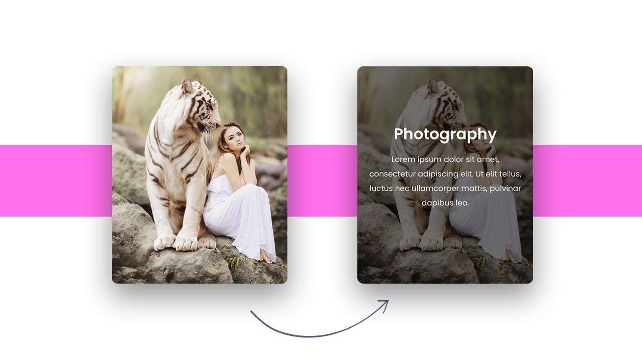 Elementor Text over Image on Hover | WordPress Elementor Pro